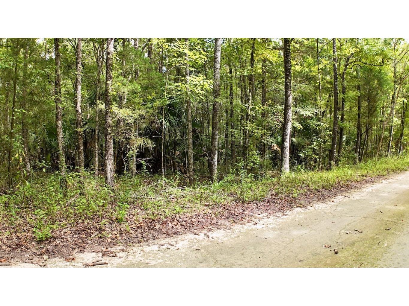 SW 14th Street Ocala FL 34481 OM685324 image4