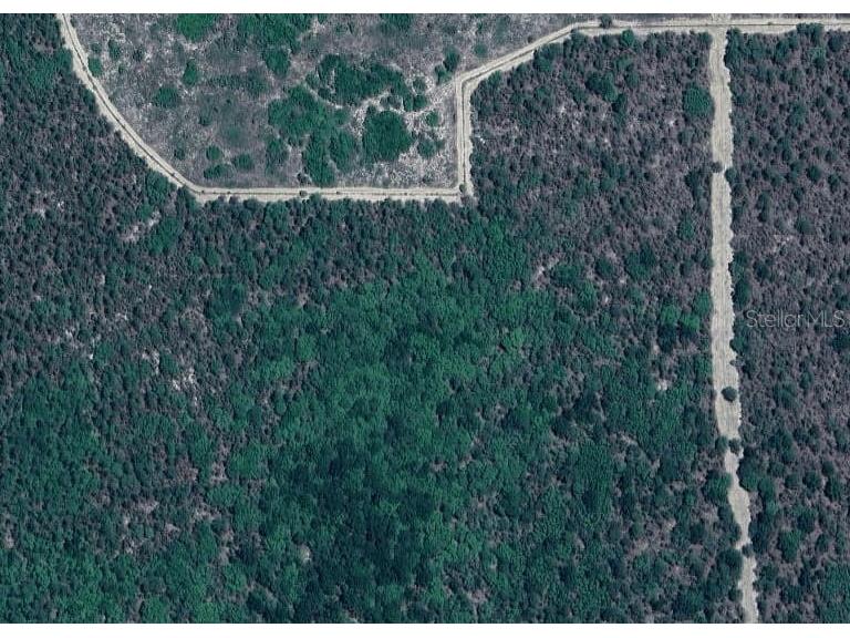 SW 15 Place #8 Ocala FL 34481 TB8370839 image1