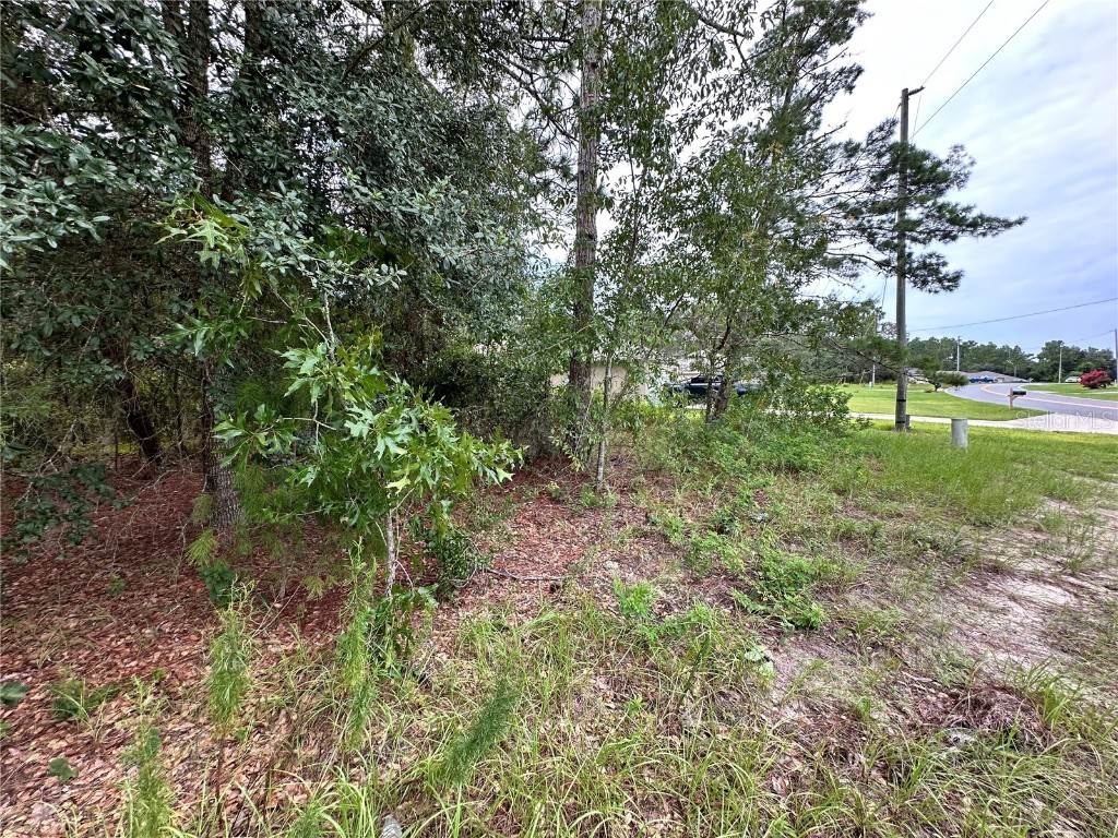 SW 150th Lane Ocala FL 34473 J979342 image1