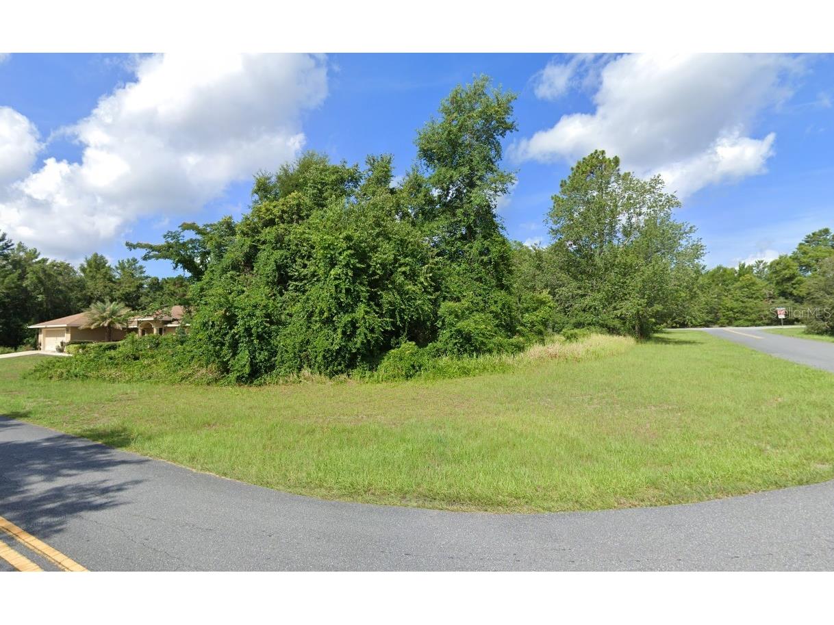 SW 150th Place Ocala FL 34473 TB8312497 image1