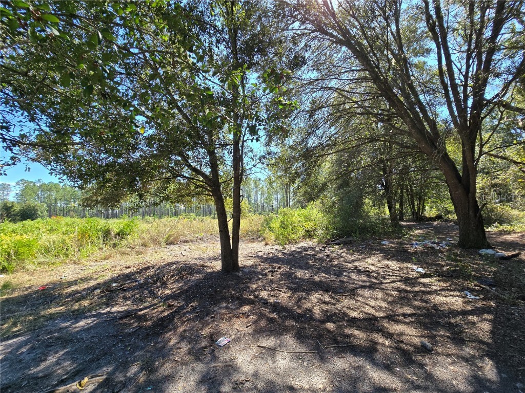 Sw 150th Street Dunnellon FL 34432 S5137503 image4