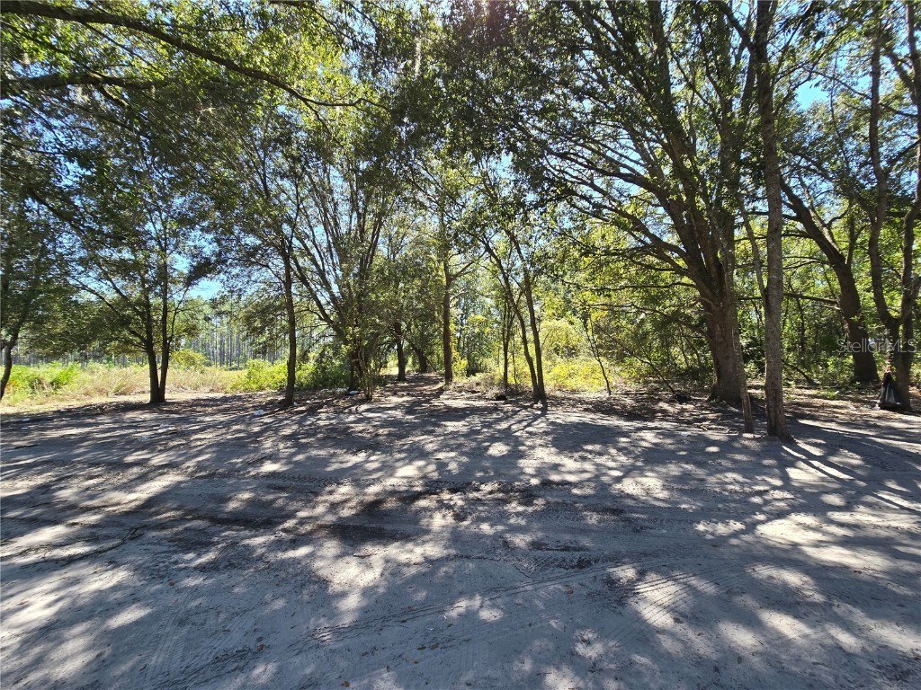 Sw 150th Street Dunnellon FL 34432 S5137503 image5