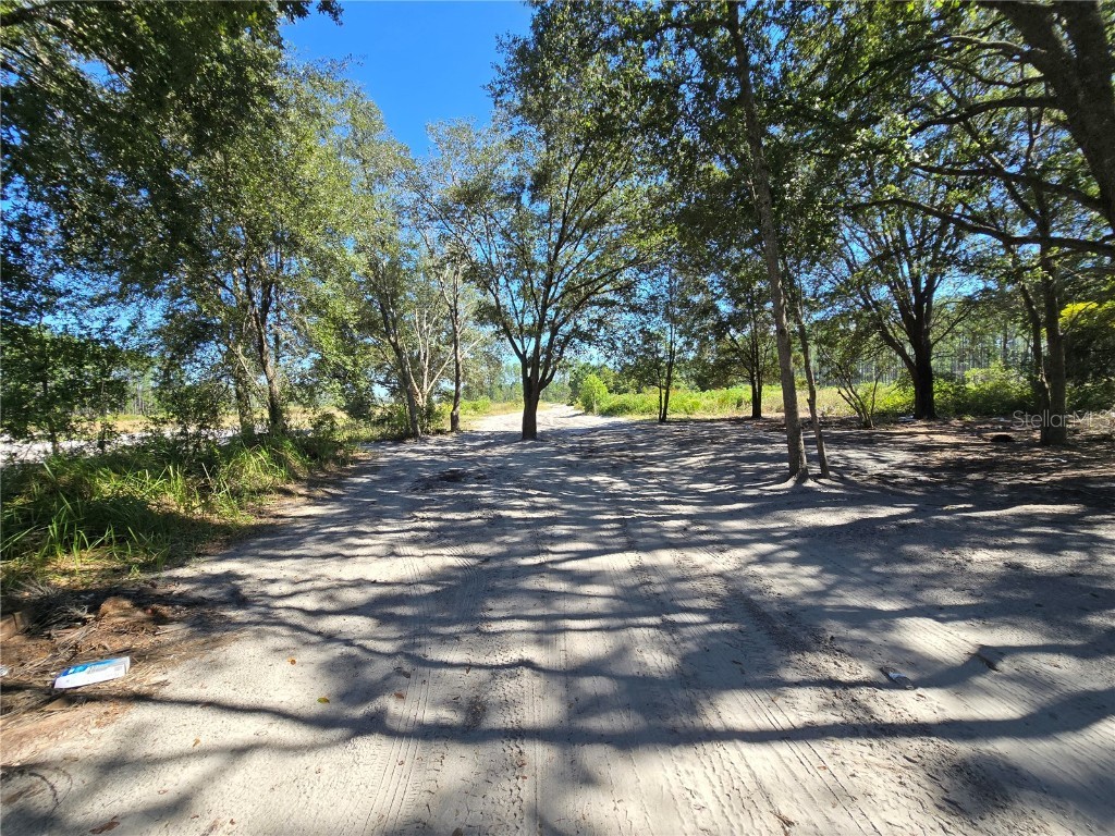 Sw 150th Street Dunnellon FL 34432 S5137503 image6