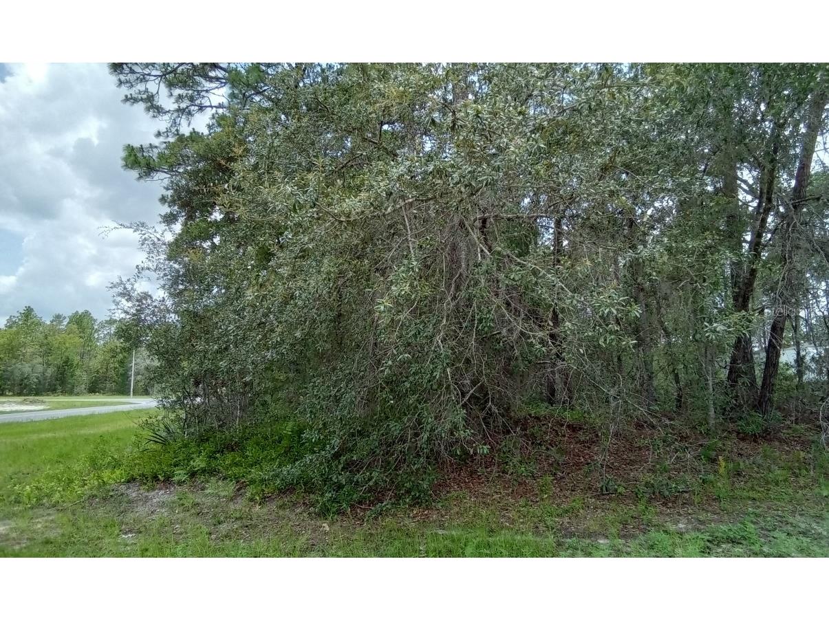 SW 151 Lane Ocala FL 34473 O6131045 image1