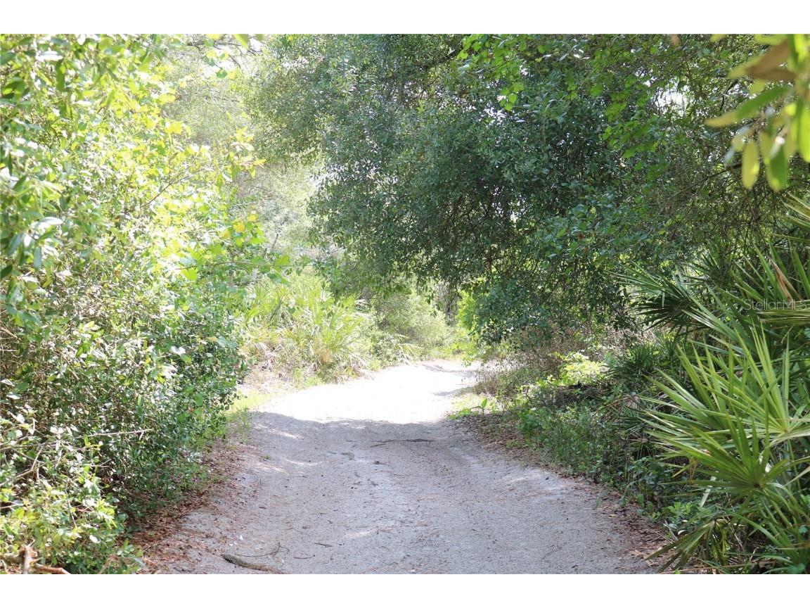 SW 151 St Place Dunnellon FL 34432 G5068062 image1