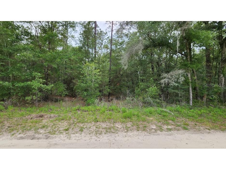 SW 151st Avenue Ocala FL 34481 OM659316 image1