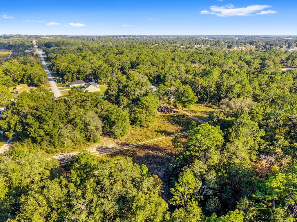 Sw 151st Avenue Ocala FL 34481 OM713571 image11
