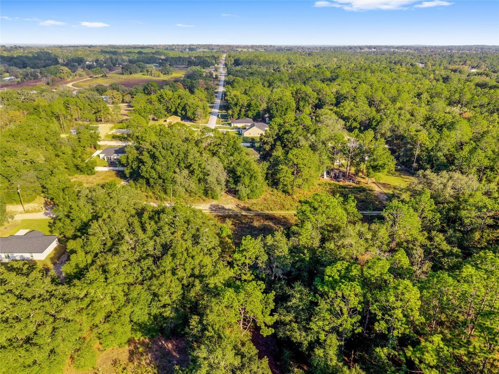 Sw 151st Avenue Ocala FL 34481 OM713571 image12