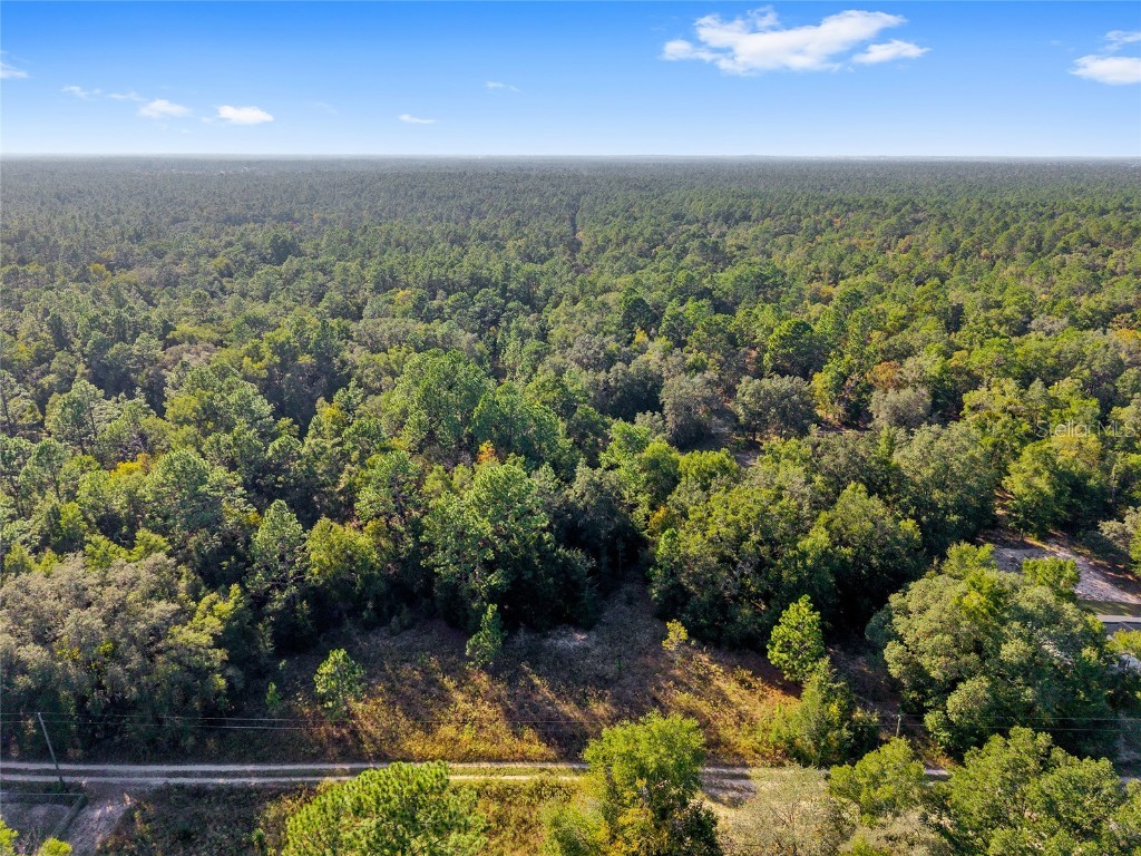 Sw 151st Avenue Ocala FL 34481 OM713571 image14