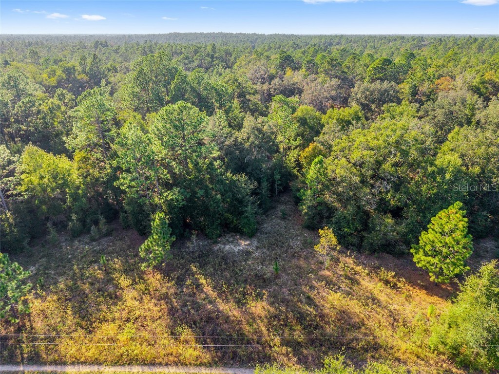 Sw 151st Avenue Ocala FL 34481 OM713571 image15