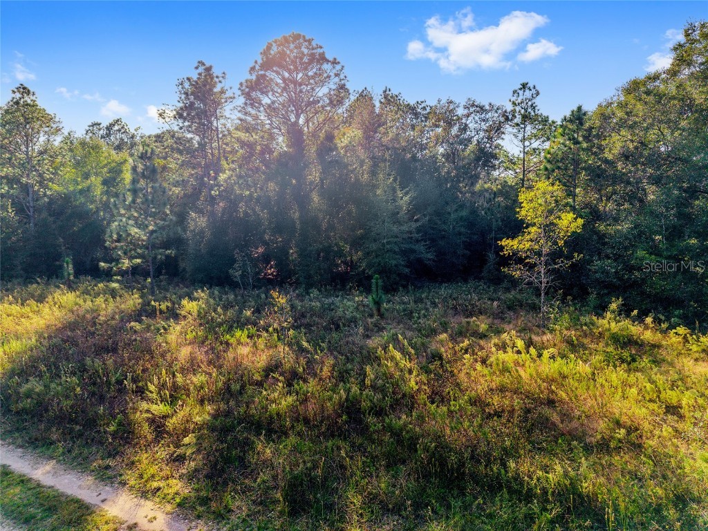 Sw 151st Avenue Ocala FL 34481 OM713571 image16