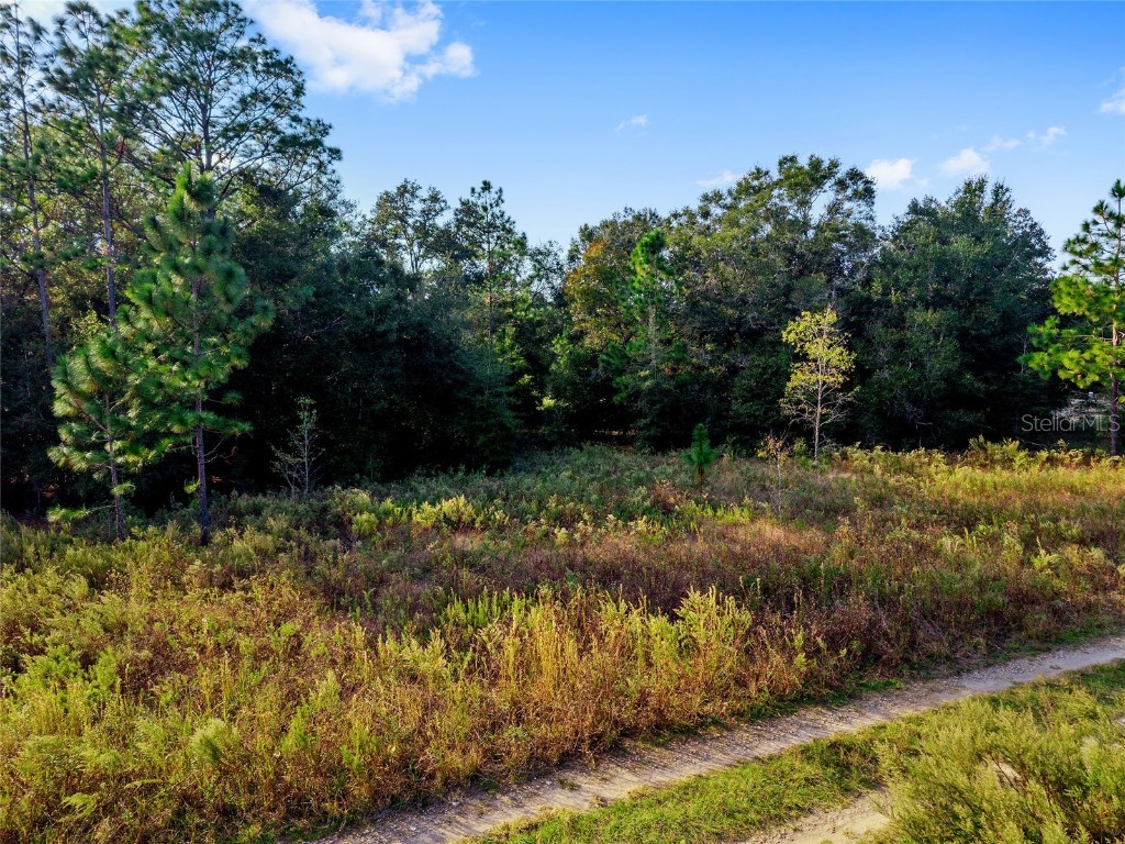 Sw 151st Avenue Ocala FL 34481 OM713571 image17