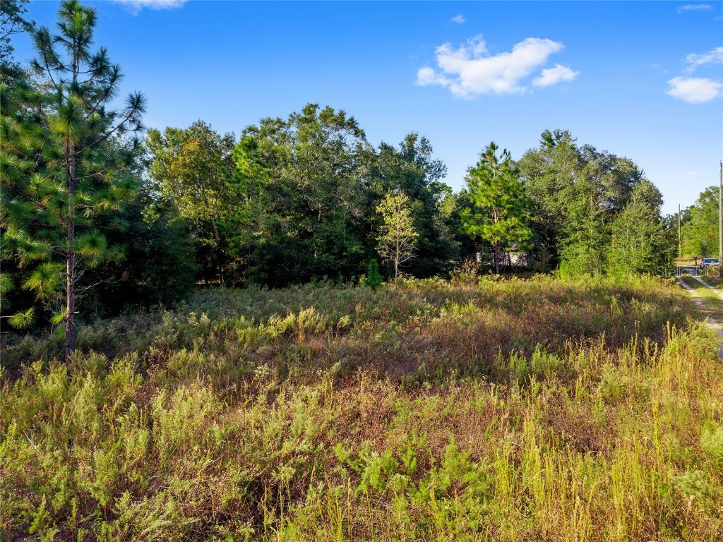 Sw 151st Avenue Ocala FL 34481 OM713571 image18