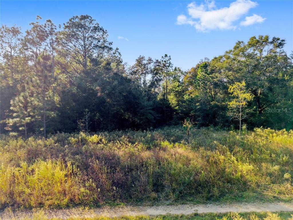 Sw 151st Avenue Ocala FL 34481 OM713571 image19