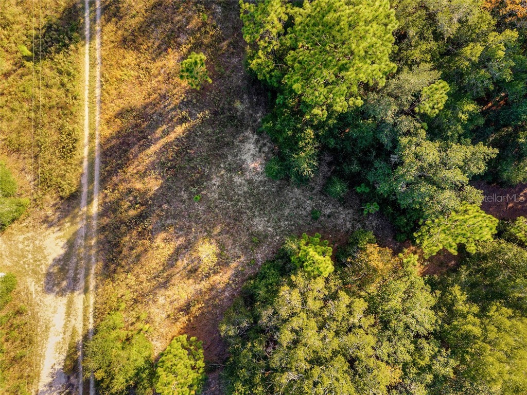 Sw 151st Avenue Ocala FL 34481 OM713571 image2