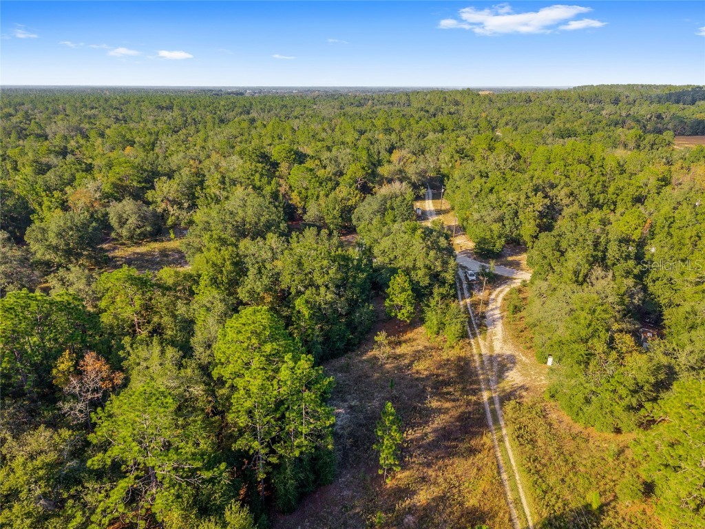 Sw 151st Avenue Ocala FL 34481 OM713571 image22