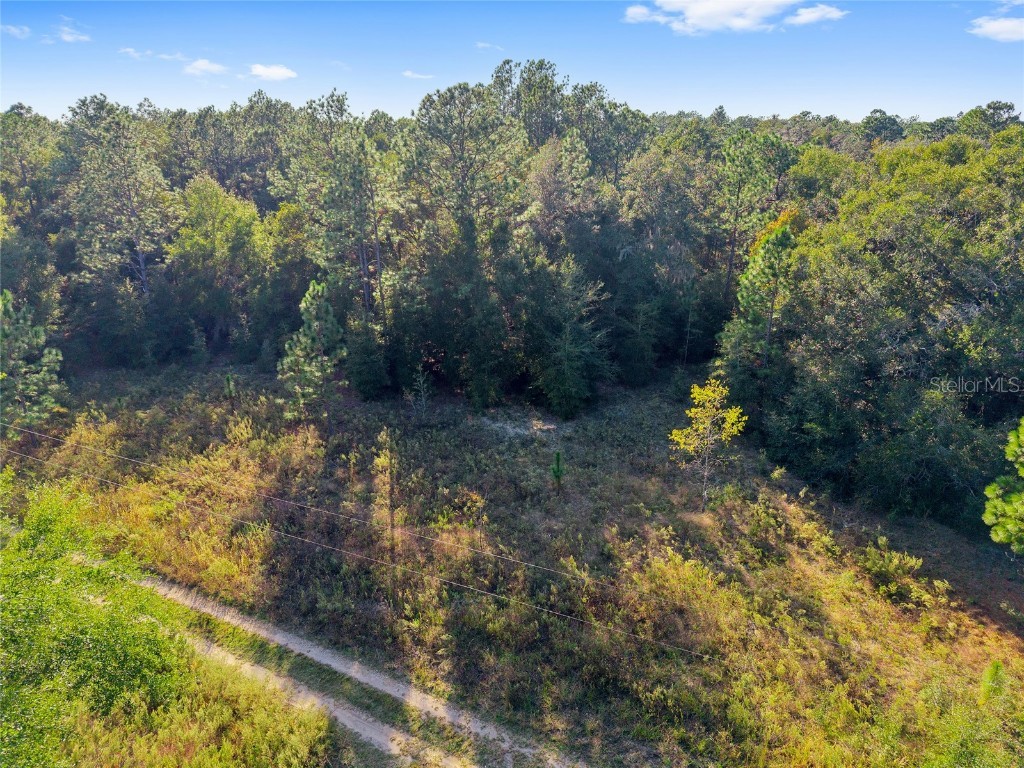 Sw 151st Avenue Ocala FL 34481 OM713571 image5