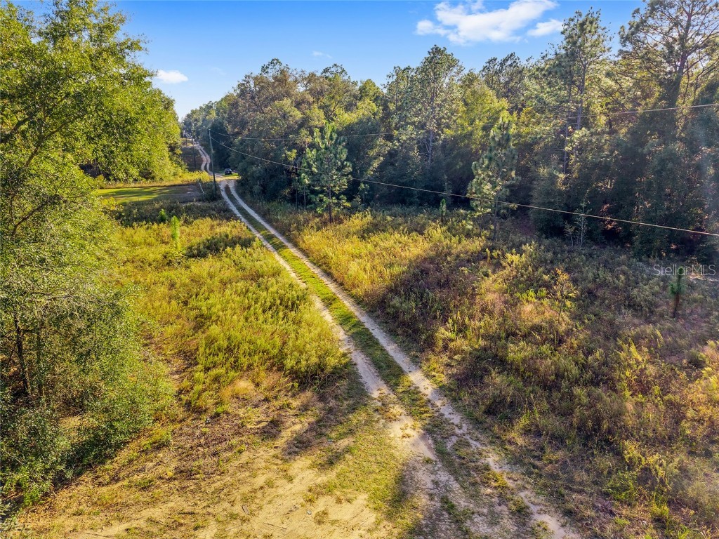 Sw 151st Avenue Ocala FL 34481 OM713571 image6