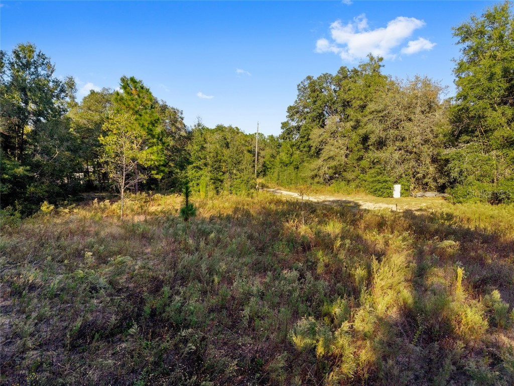 Sw 151st Avenue Ocala FL 34481 OM713571 image7