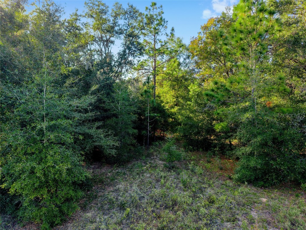 Sw 151st Avenue Ocala FL 34481 OM713571 image8