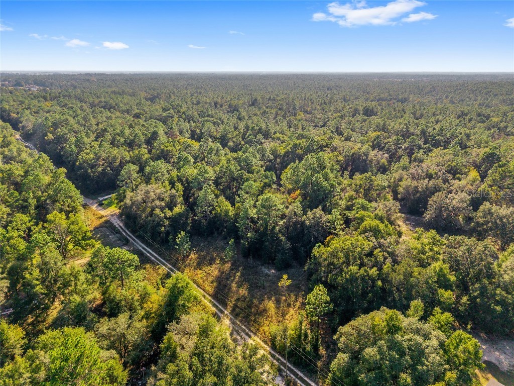 Sw 151st Avenue Ocala FL 34481 OM713571 image9