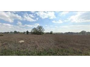 SW 151st Court Ocala FL 34481 O6196001 image1