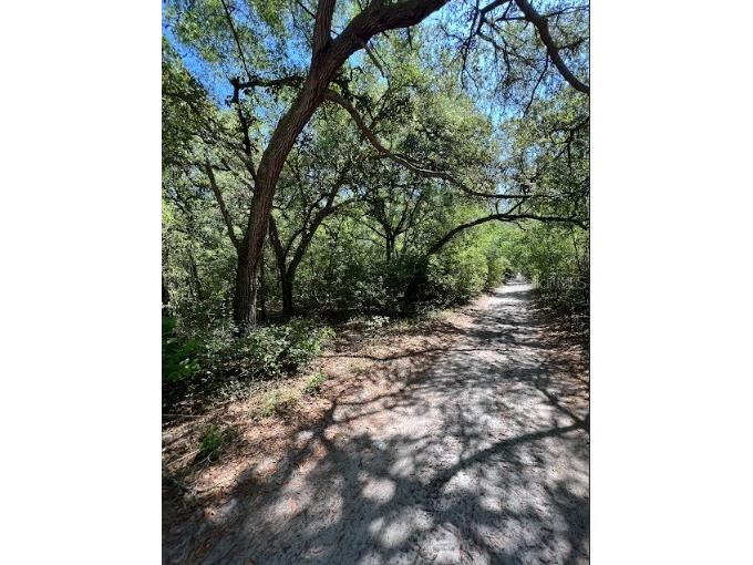 Sw 151st Pl Dunnellon FL 34432 O6164130 image1