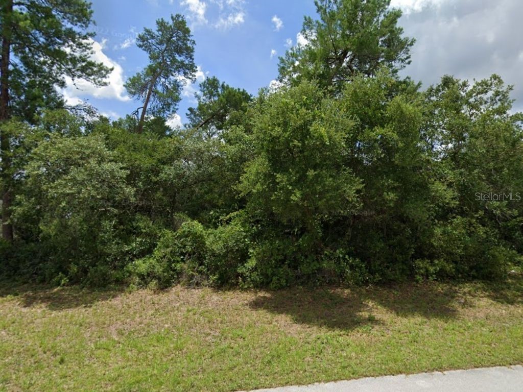 Sw 151st St Ocala FL 34473 C7479007 image1