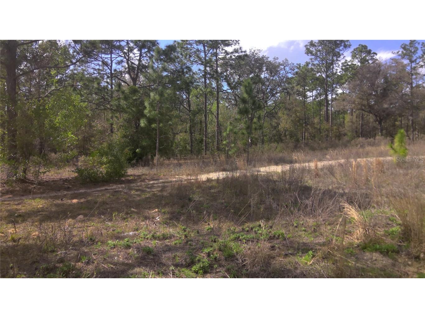 SW 152nd Court Ocala FL 34481 OM674482 image1