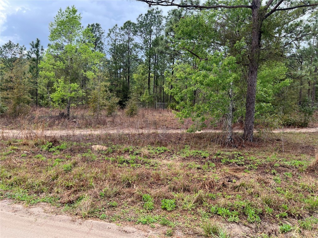 Sw 152nd Court Ocala FL 34481 OM695248 image1