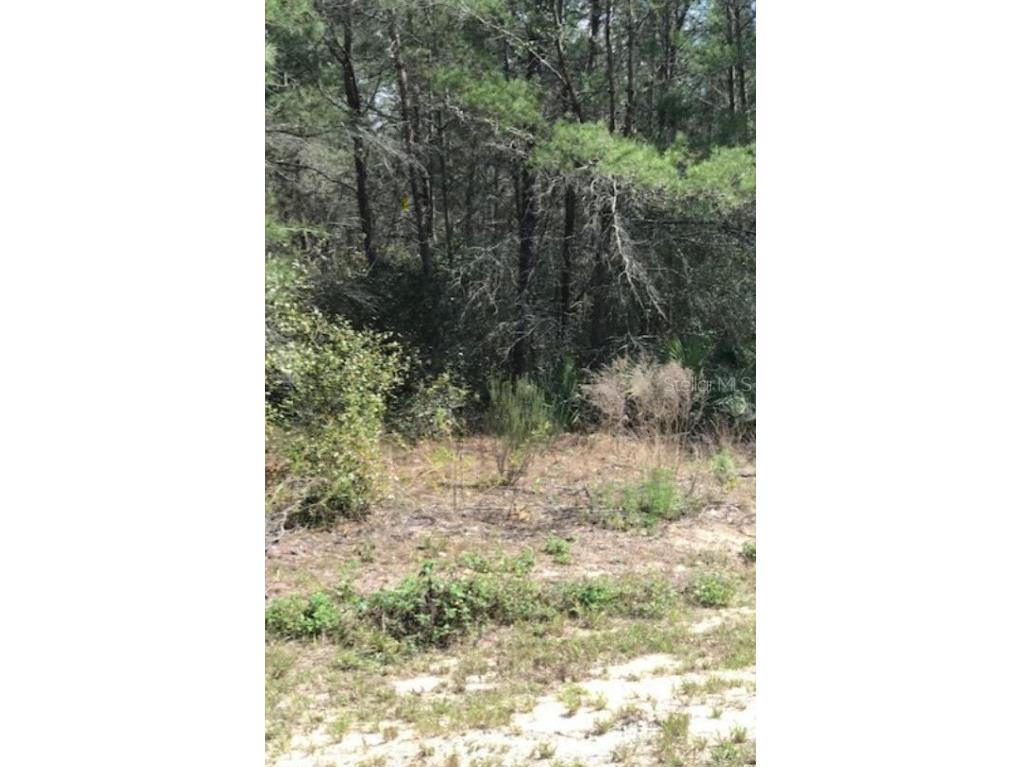 Sw 152nd Lane Road Ocala FL 34473 T3477528 image1