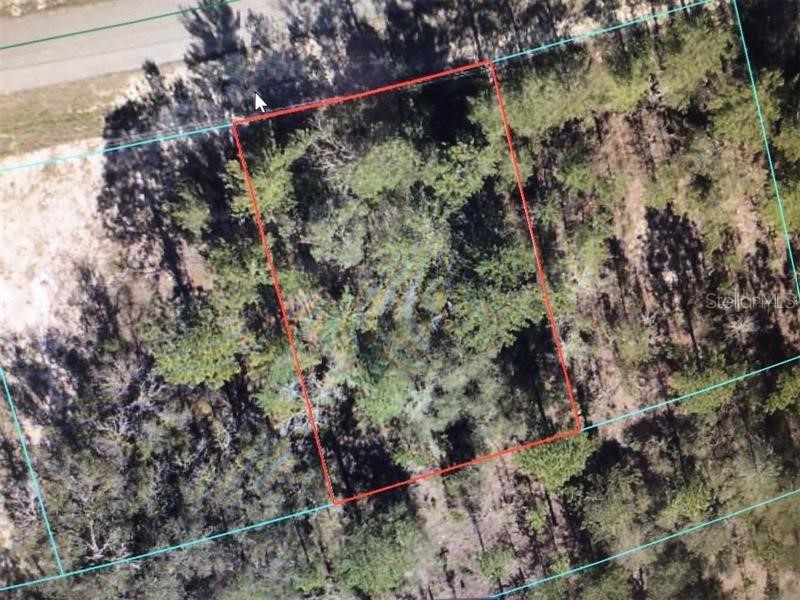 Sw 153 Place Road Ocala FL 34473 TB8505675 image1