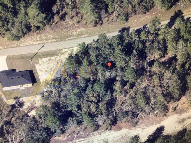 Sw 153 Place Road Ocala FL 34473 TB8505675 image3