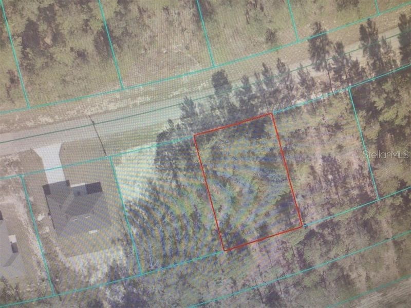Sw 153 Place Road Ocala FL 34473 TB8505675 image4