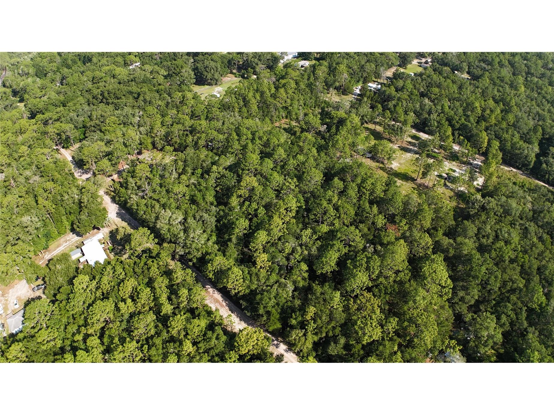 SW 153rd Lane Dunnellon FL 34432 O6420201 image13