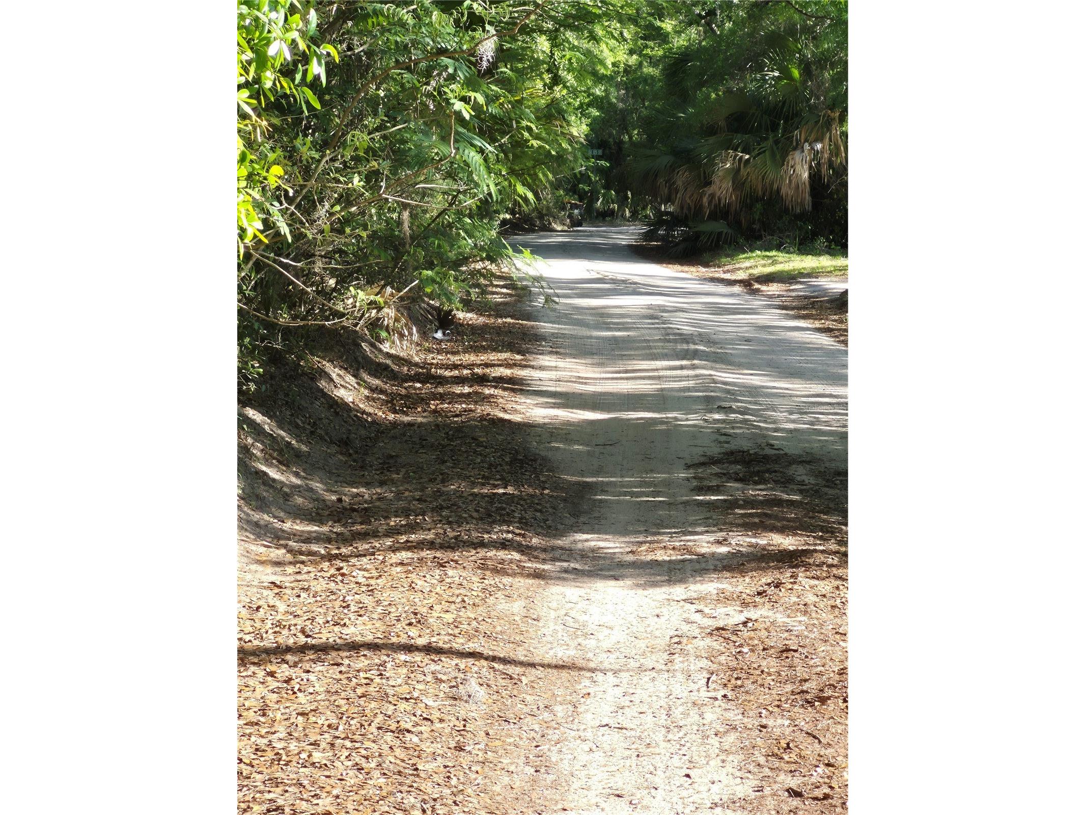 Sw 153rd Lane Dunnellon FL 34432 OM722644 image1