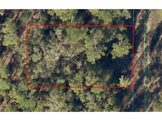 SW 154 Terrace Ocala FL 34481 OM717080 image1