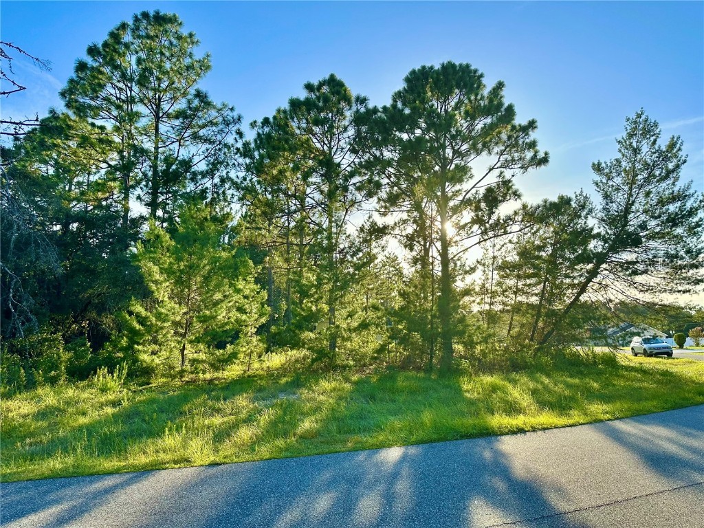 SW 154th Loop Ocala FL 34473 O6133313 image1