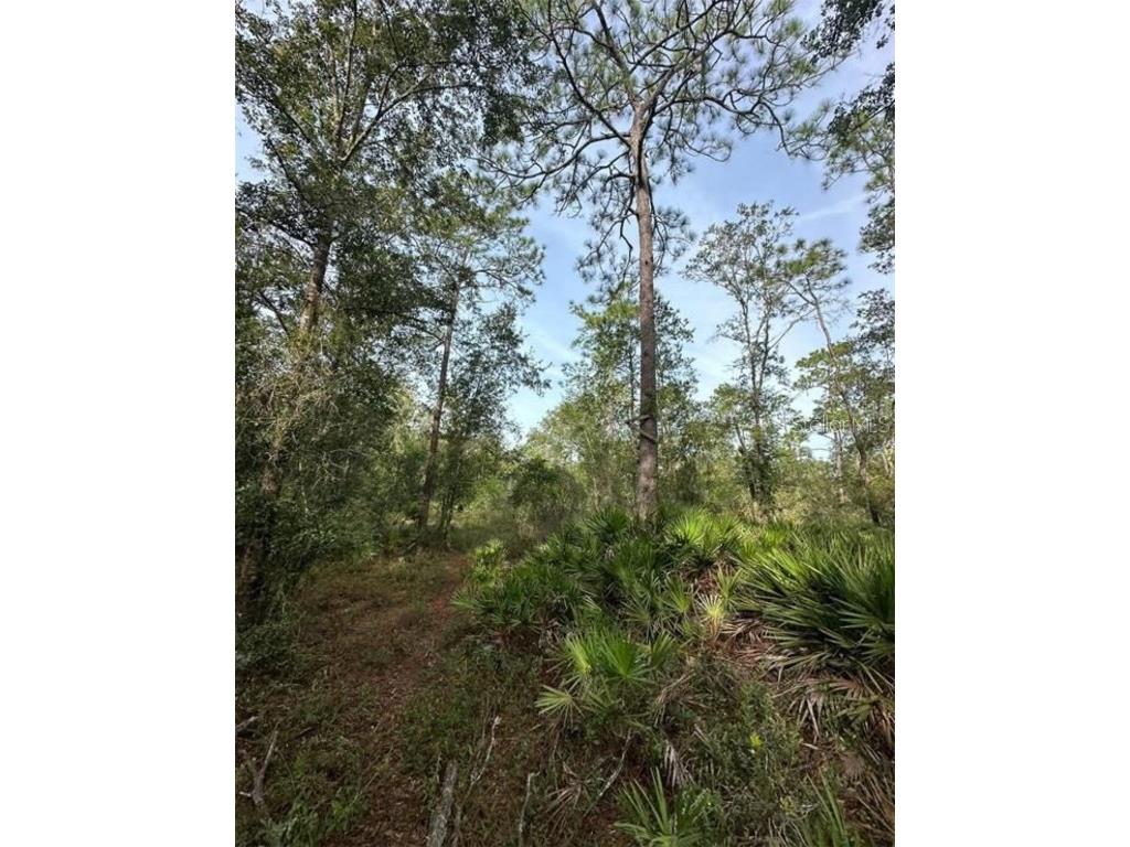Sw 155th St Dunnellon FL 34432 GC520082 image1