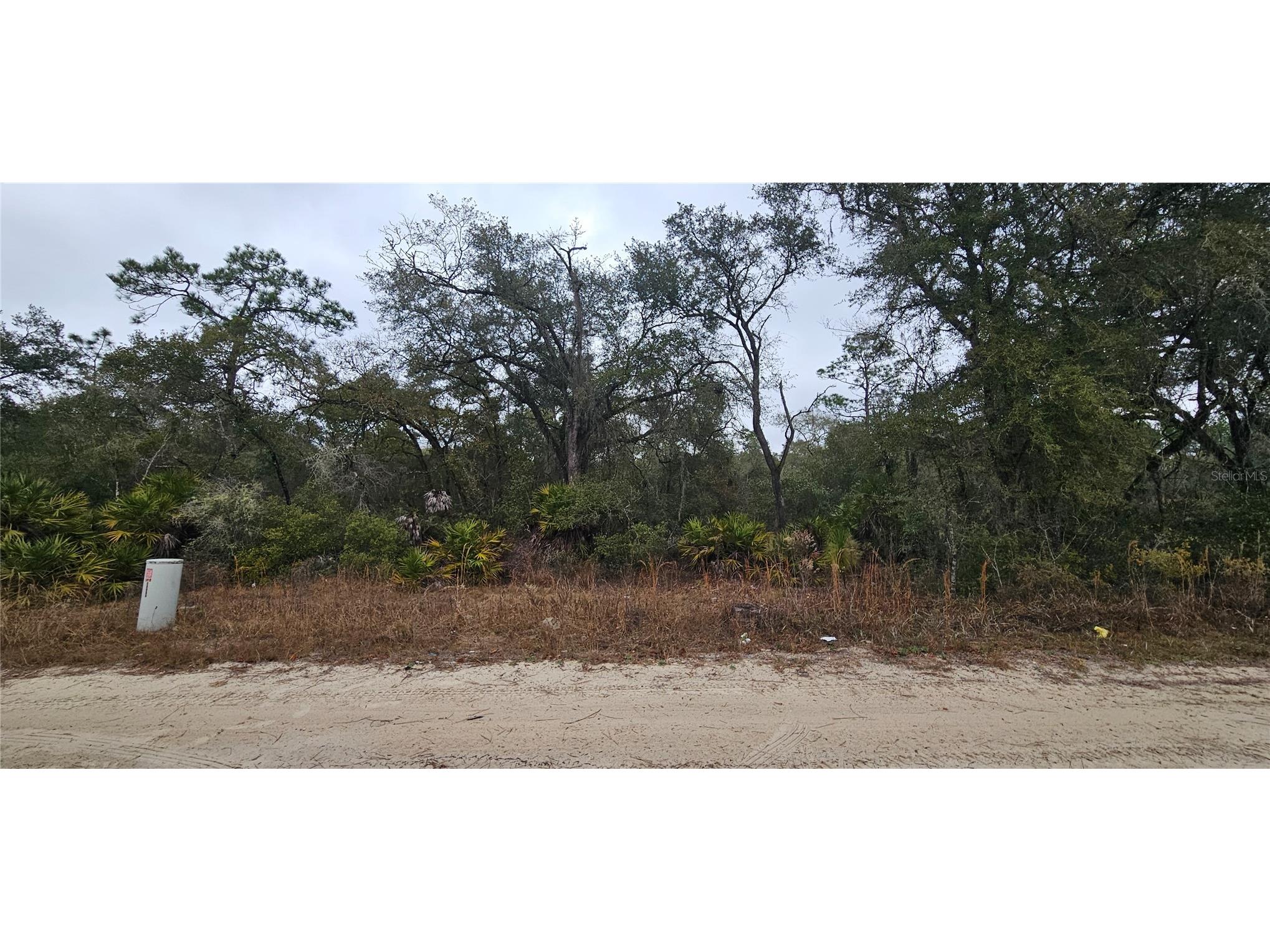 SW 155th Street Dunnellon FL 34432 S5140589 image3