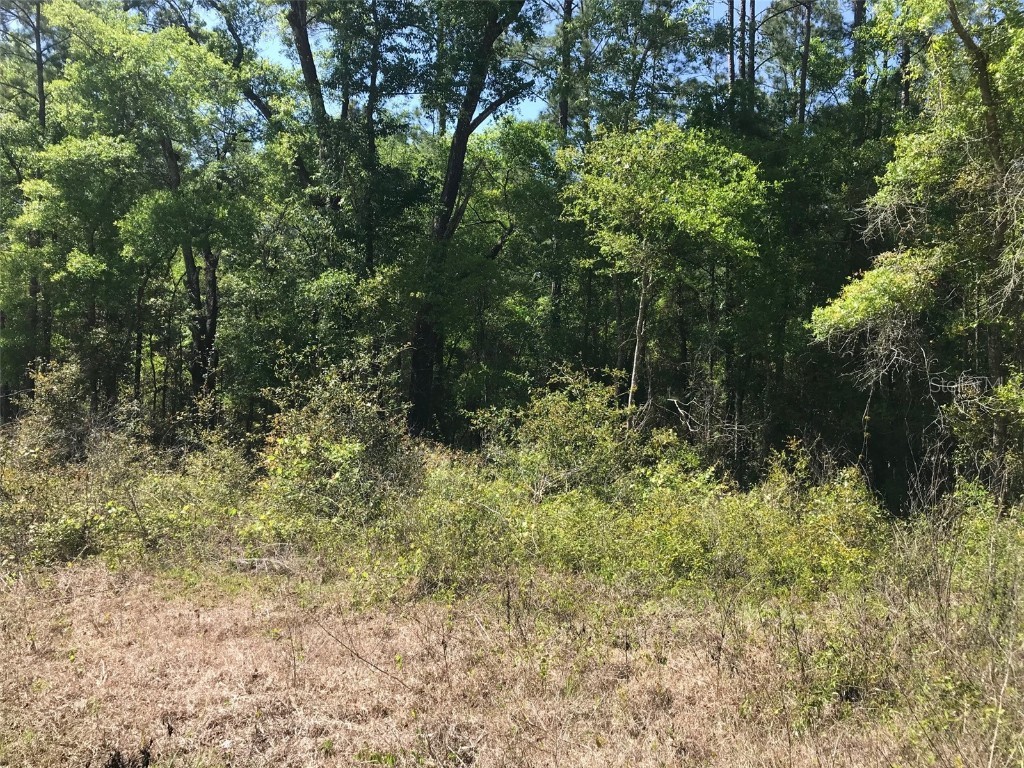 SW 156 Avenue Ocala FL 34481 OM636602 image1