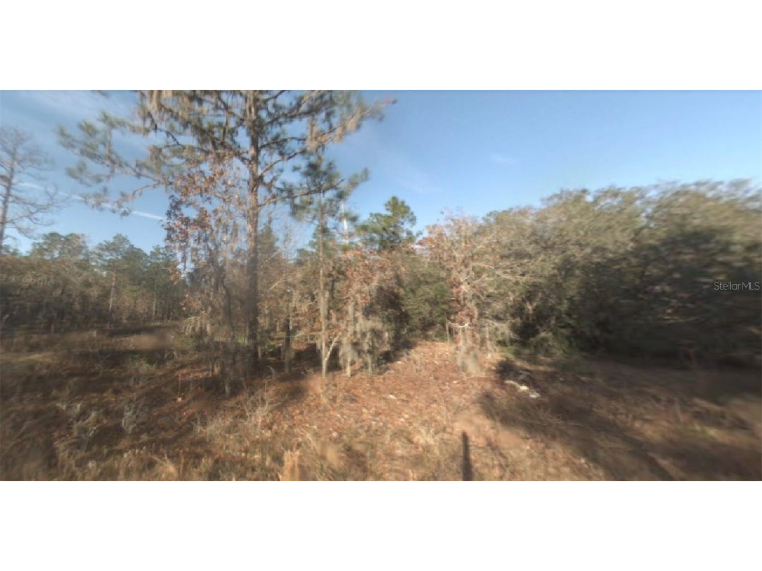 SW 156th Avenue Ocala FL 34481 O6104233 image1