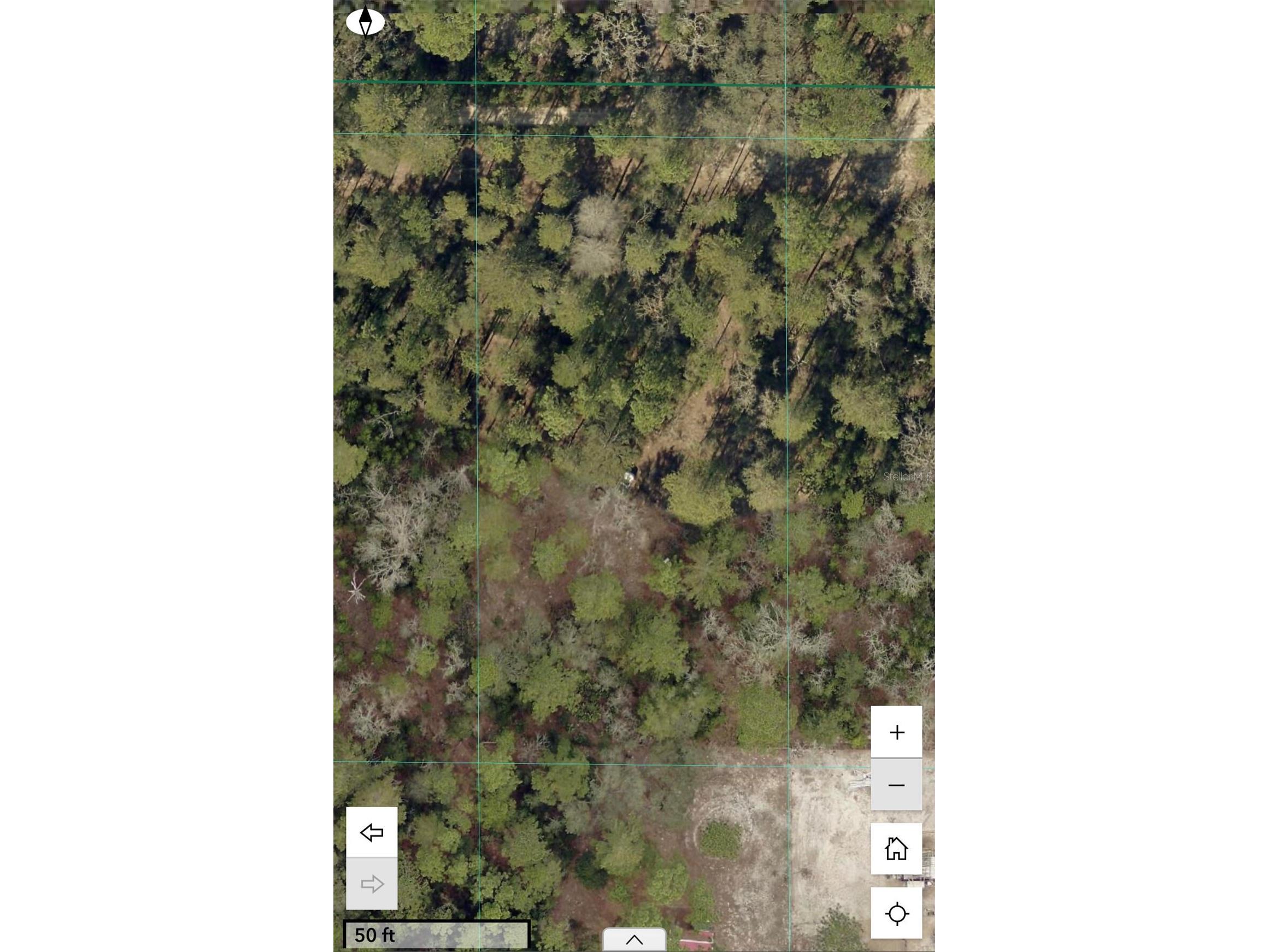 SW 156th Place #0 Dunnellon FL 34432 O6396524 image1