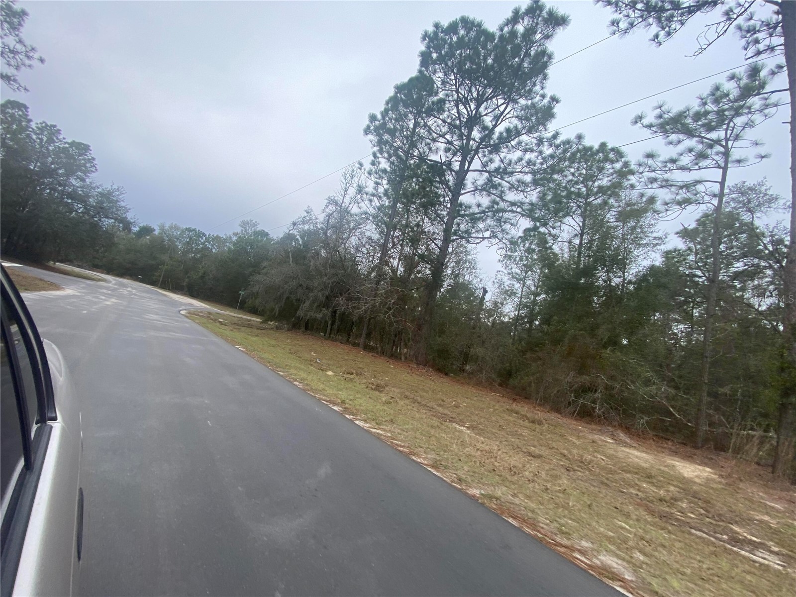 SW 156th Place #0 Dunnellon FL 34432 O6396524 image10