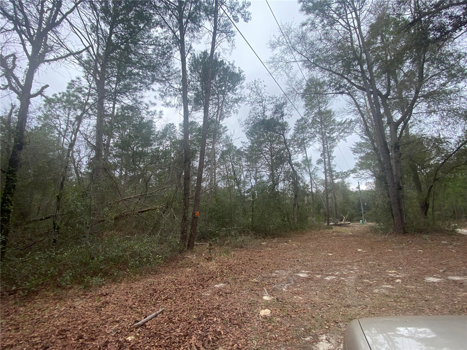 SW 156th Place #0 Dunnellon FL 34432 O6396524 image2