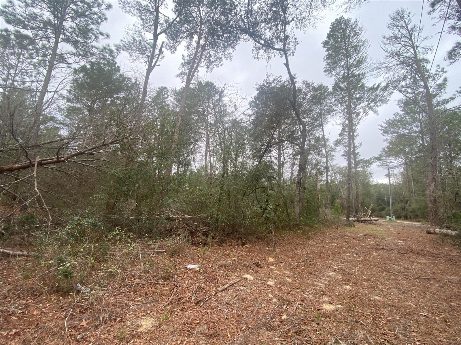 SW 156th Place #0 Dunnellon FL 34432 O6396524 image5