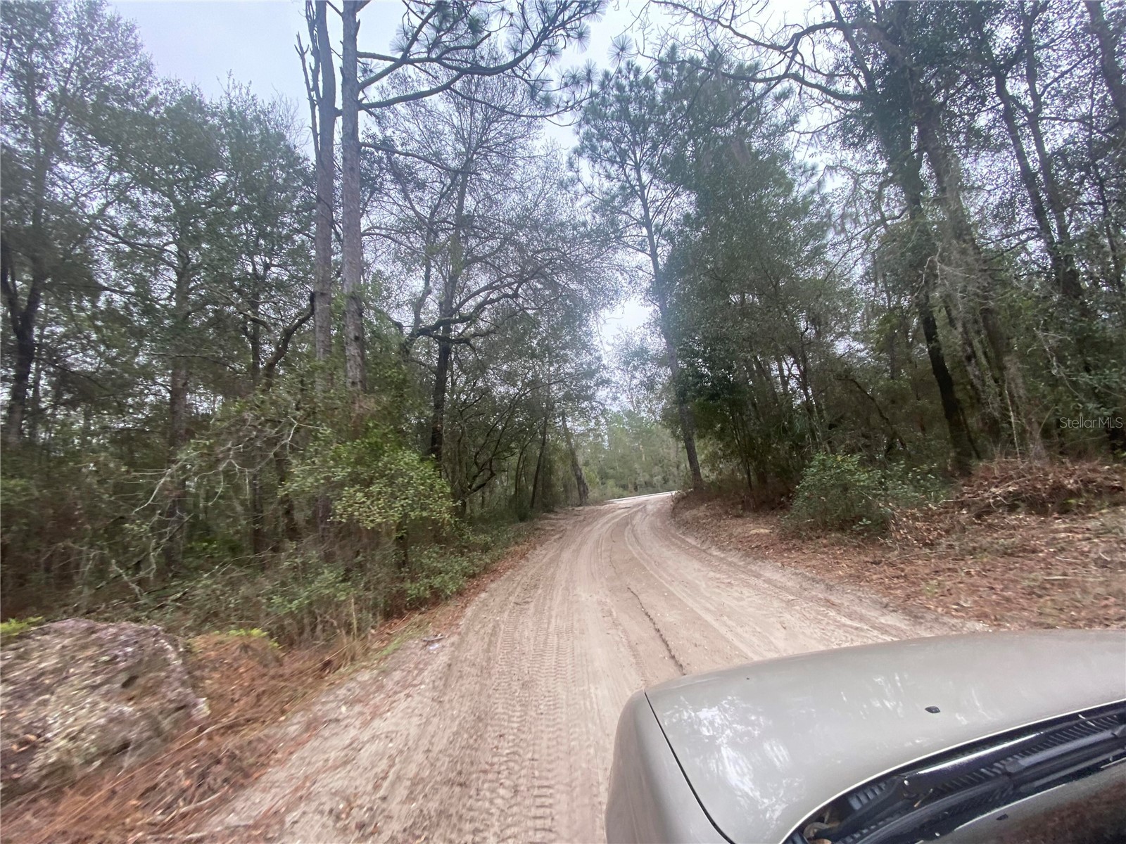 SW 156th Place #0 Dunnellon FL 34432 O6396524 image6