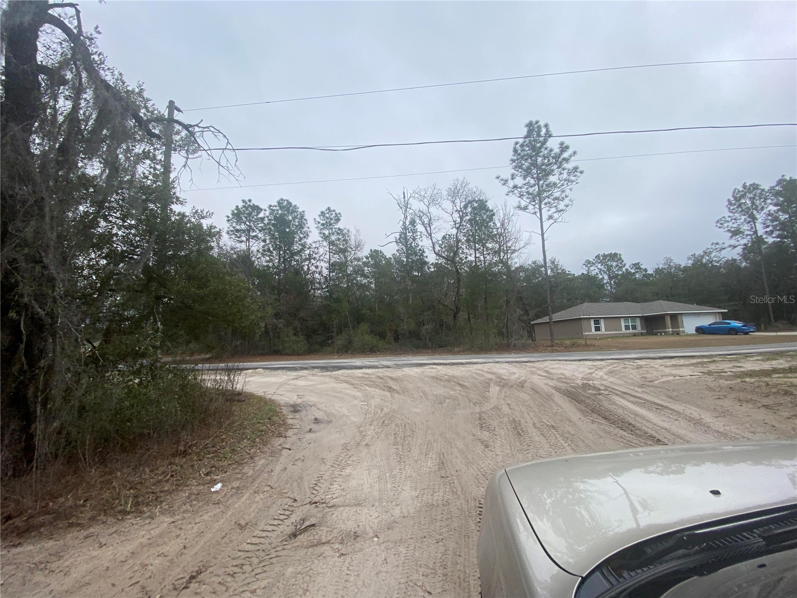 SW 156th Place #0 Dunnellon FL 34432 O6396524 image7