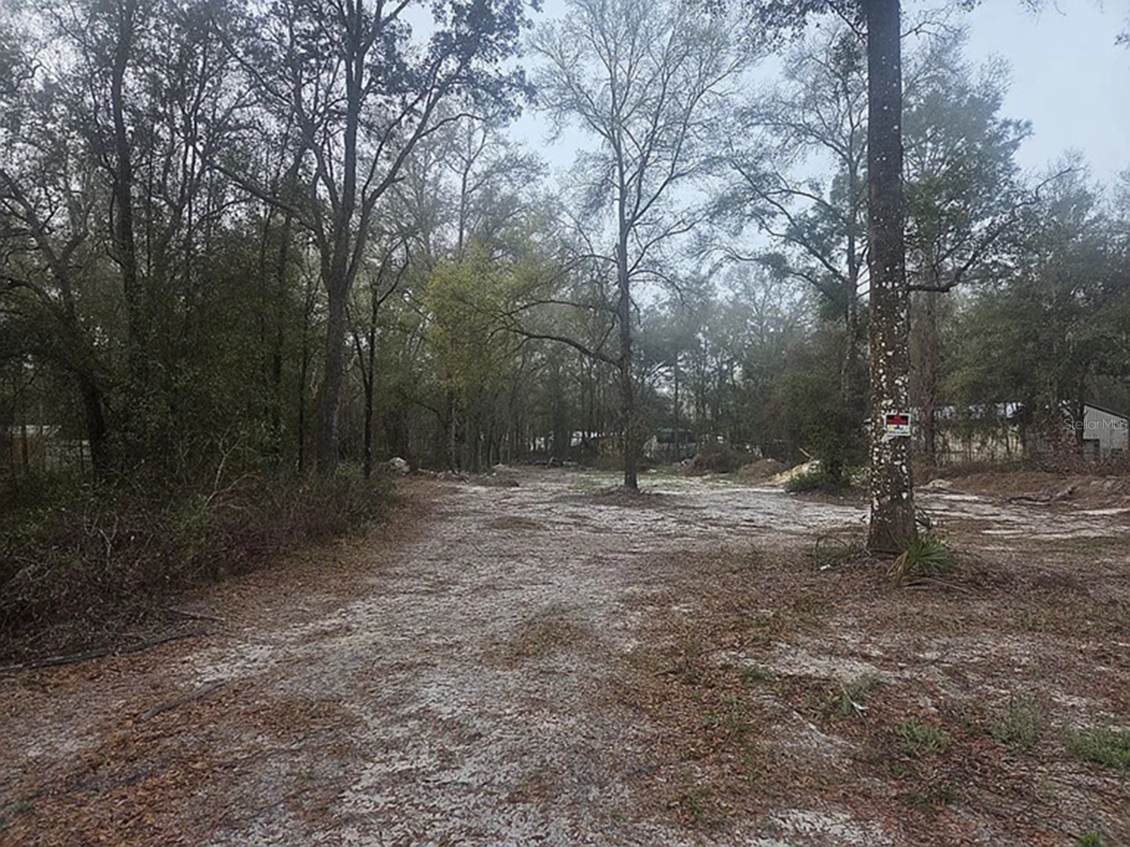 SW 156th Place Dunnellon FL 34432 C7525292 image1