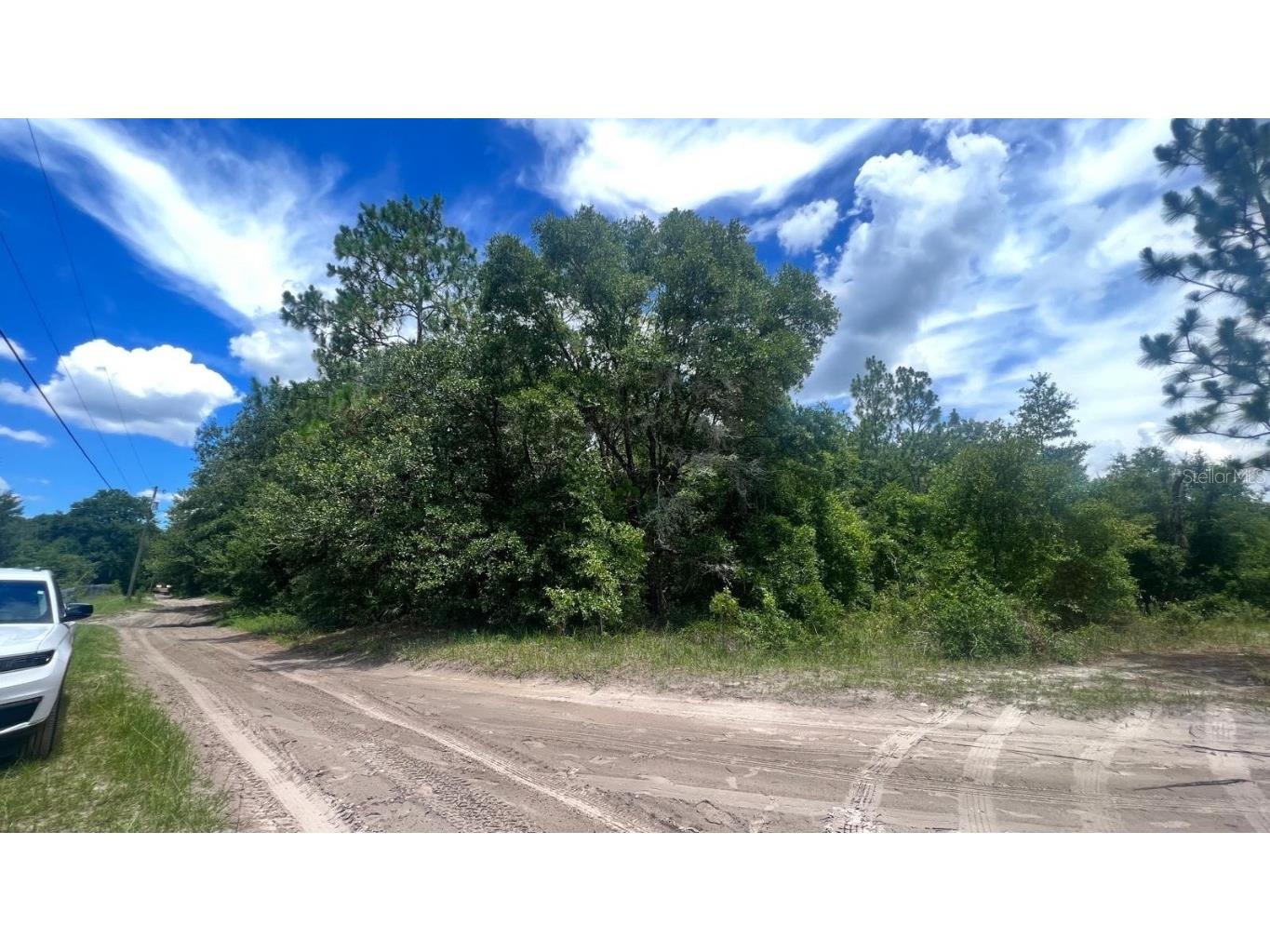 Sw 156th Place Dunnellon FL 34432 S5119787 image1